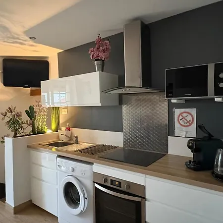 Apartment Goeland 1,climatise, Wifi Et Sa Terrasse A 150 M De La