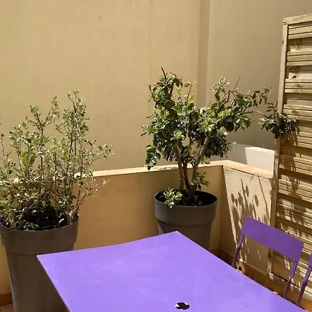Apartment Goeland 1,climatise, Wifi Et Sa Terrasse A 150 M De La
