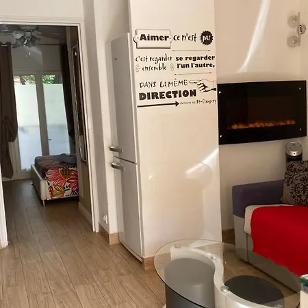 Goeland 1,climatise, Wifi Et Sa Terrasse A 150 M De La Apartment