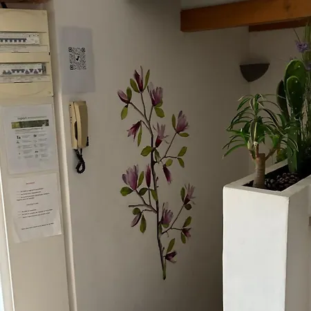 Apartment Goeland 1,climatise, Wifi Et Sa Terrasse A 150 M De La