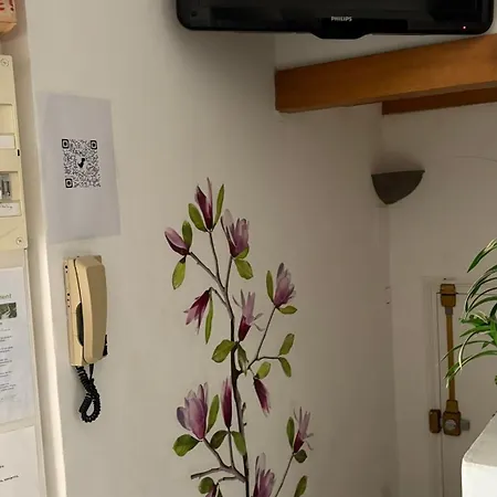 Goeland 1,climatise, Wifi Et Sa Terrasse A 150 M De La Apartment *